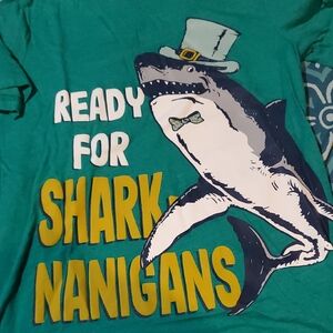 Kids Shark Graphic Tee - Teal "Ready for Shark-nanigans"